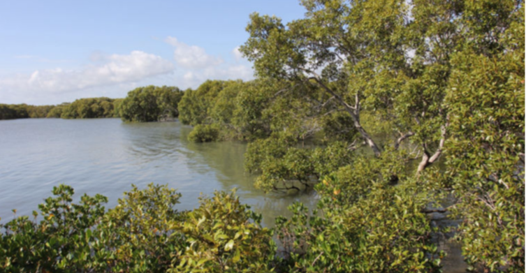 Toondah Harbour