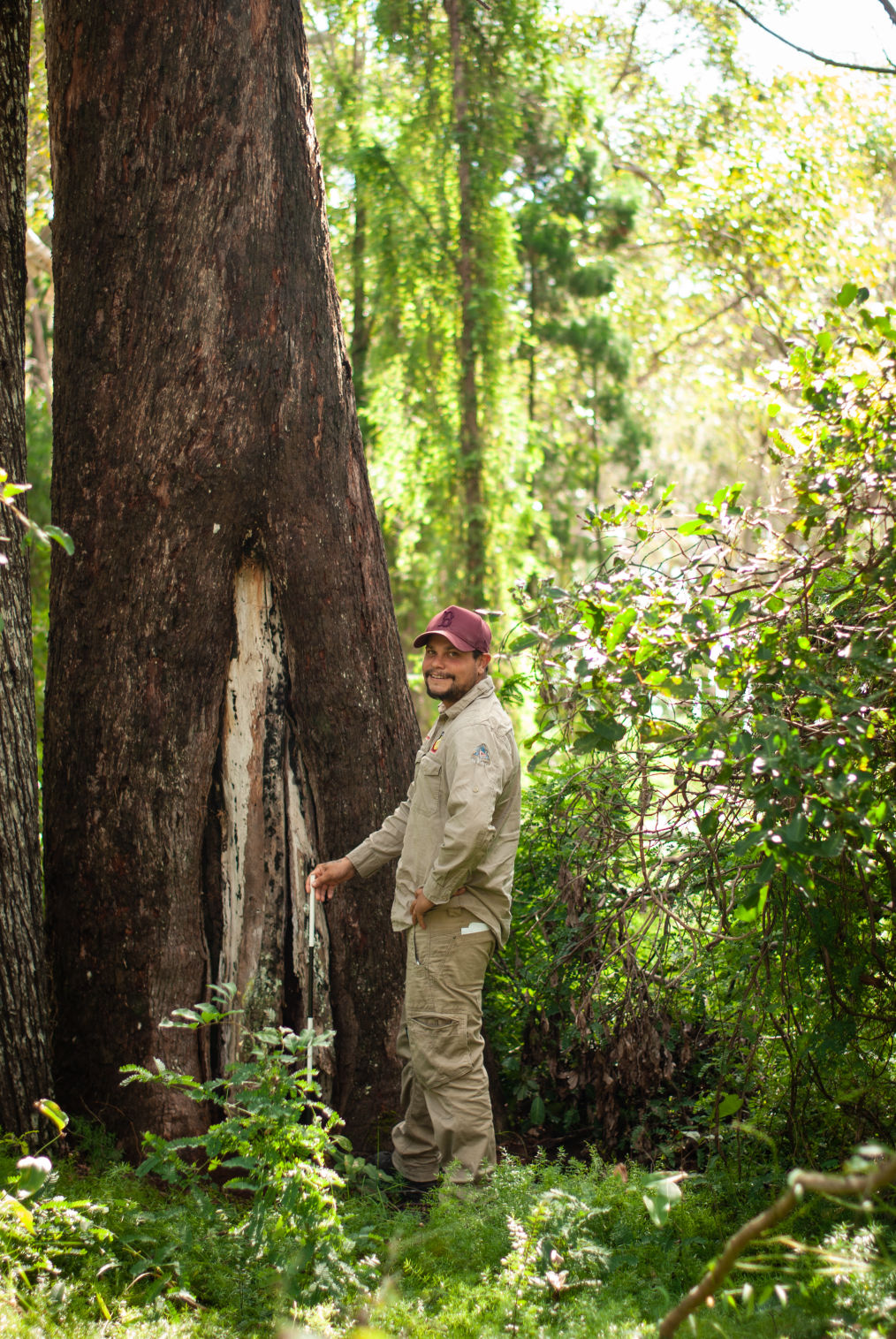 Quandamooka Cultural Heritage Monitor and scar tree